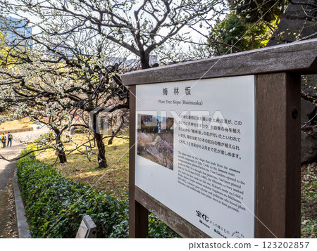 Plum Blossom Hill and information board in the East Gardens of the Imperial Palace 123202857
