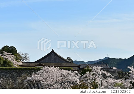 春天的篠山城 123202862