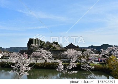 Sasayama Castle in Spring Sasayama Castle in Spring 123202891
