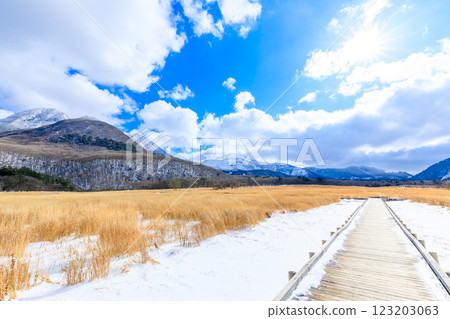 Winter in Tadewara Marsh, Kuju Mountains, Kuju District, Oita Prefecture 123203063