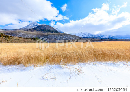 Winter in Tadewara Marsh, Kuju Mountains, Kuju District, Oita Prefecture 123203064