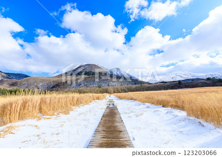 大分縣九重郡九重山地的冬季蓼原濕原 123203066