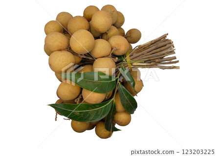Fresh longan Thailand fruit 123203225