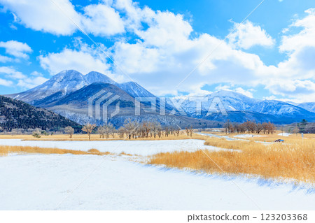 大分縣九重郡山並高速公路長者原的冬天 大分縣九重郡山並高速公路長者原的冬天 123203368