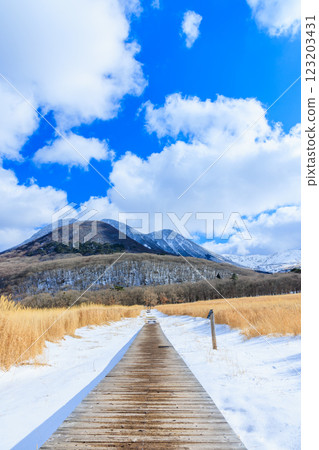 大分縣九重郡九重山地的冬季蓼原濕原 123203431