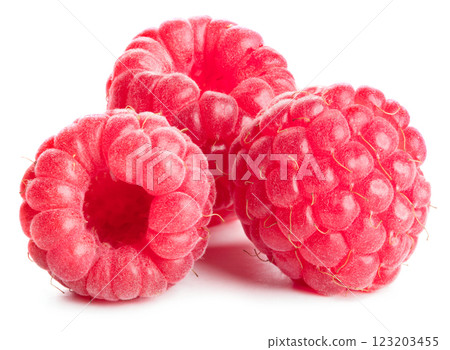 Raspberry. Raspberry isolated. Raspberry on white background. Raspberry. Raspberry isolated. Raspberry on white background. 123203455