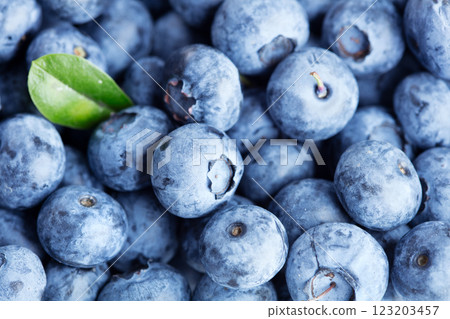 Fresh blueberries background Fresh blueberries background 123203457