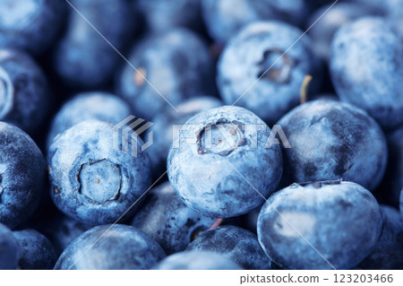 Fresh blueberries background 123203466