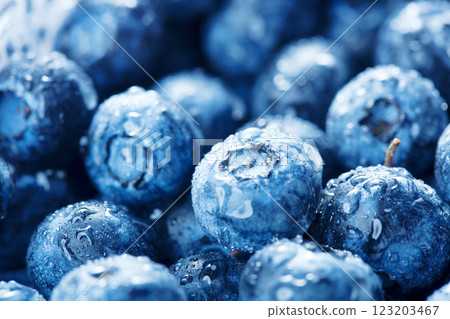 Fresh blueberries background 123203467
