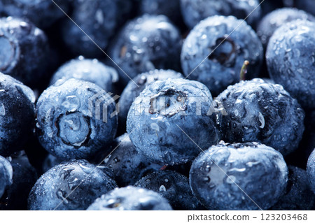 Fresh blueberries background 123203468