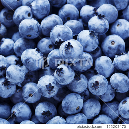 Fresh blueberries background Fresh blueberries background 123203470