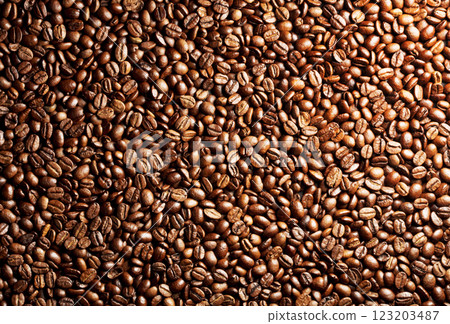 background of aromatic brown coffee beans 123203487
