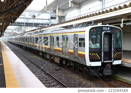 宇都宮線E131系列列車（6輛車：宇都宮⇔黑磯） 123204384