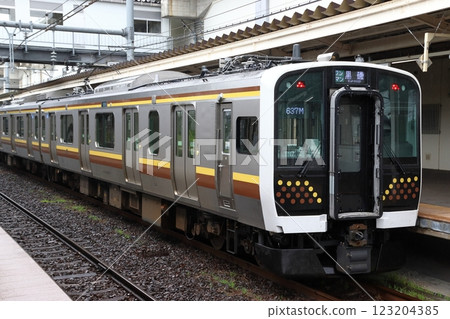 宇都宮線E131系列列車（宇都宮⇔黑磯） 123204385