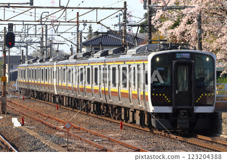 春季宇都宮線E131系列列車(6輛車:宇都宮⇔黑磯) 春季宇都宮線E131系列列車(6輛車:宇都宮⇔黑磯) 123204388