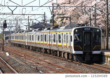 Spring Utsunomiya Line E131 Series Train (6-car train: Utsunomiya⇔Kuroiso) 123204389
