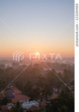 India_Palm trees and sunlight pouring into the morning mist 123204469