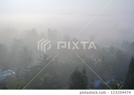 India_Palm trees and sunlight pouring into the morning mist India_Palm trees and sunlight pouring into the morning mist 123204474