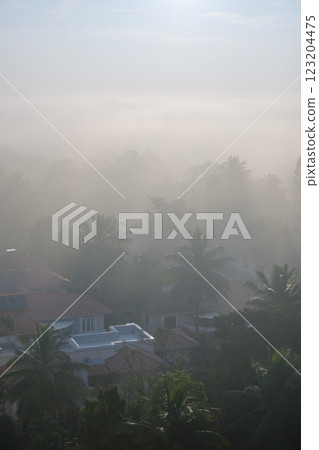 India_Palm trees and sunlight pouring into the morning mist India_Palm trees and sunlight pouring into the morning mist 123204475