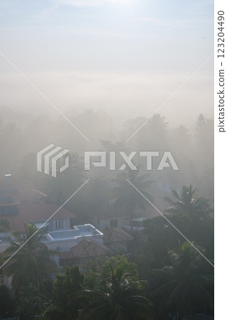 India_Palm trees and sunlight pouring into the morning mist 123204490