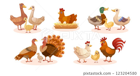 Farm birds. Cartoon poultry animals, hen chicken on nest breeds turkey goose duck or rooster family walking farmyard, farmer domestic bird livestock set, swanky vector illustration 123204580