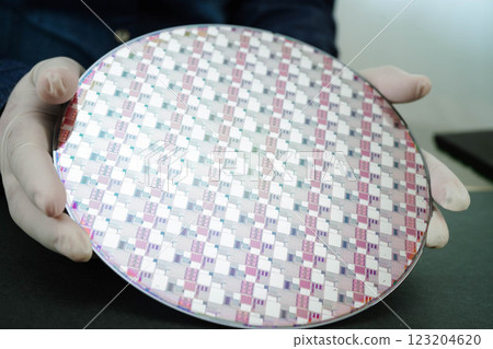 Silicon wafer for manufacturing semiconductor of integrated circuit. Silicon wafer for manufacturing semiconductor of integrated circuit. 123204620