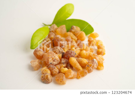 Frankincense or olibanum aromatic resin used in incense and perfumes. Frankincense or olibanum aromatic resin used in incense and perfumes. 123204674