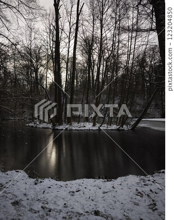 winter scene capturing snowy pond reflecting the sun through bare trees in a prague forest Vinor Nature Reserve winter scene capturing snowy pond reflecting the sun through bare trees in a prague forest Vinor Nature Reserve 123204850