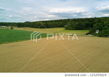 Aerial view of the Countryside in Ile-de-France 123204924