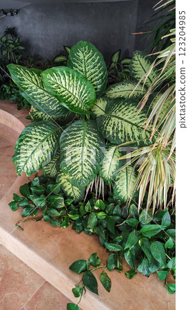 Lush green plants growing in a resort in marsa alam, egypt Lush green plants growing in a resort in marsa alam, egypt 123204985