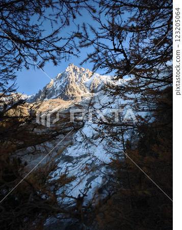 Majestic snowy peak Mont Blanc emerging from autumnal trees in chamonix, france Majestic snowy peak Mont Blanc emerging from autumnal trees in chamonix, france 123205064