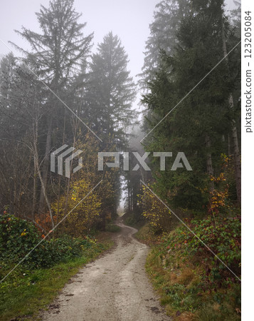 Winding path disappearing into foggy autumn forest in chamonix, france Winding path disappearing into foggy autumn forest in chamonix, france 123205084