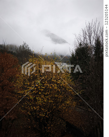 Low clouds covering a mountain peak behind colorful autumn trees and a lake in chamonix, france Low clouds covering a mountain peak behind colorful autumn trees and a lake in chamonix, france 123205144