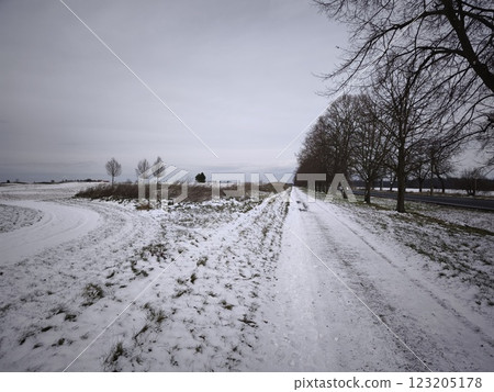 Snow path lined with bare trees in the Prague countryside, winter landscape under a cloudy sky Golf Vinor 123205178