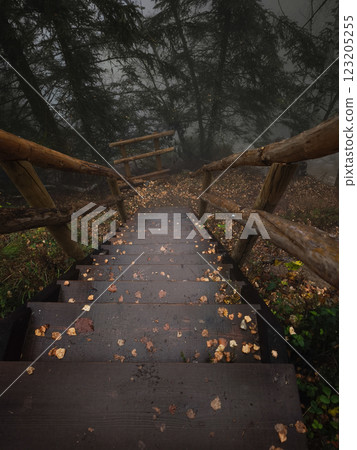 Wooden stairs descending through misty forest, fallen autumn leaves and dense woodland, evoking mysterious landscape Wooden stairs descending through misty forest, fallen autumn leaves and dense woodland, evoking mysterious landscape 123205255
