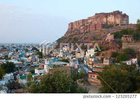 Mehrangarh Fort in Jodhpur city, India 123205277