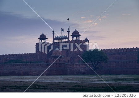 Red Fort in Delhi city, India 123205320