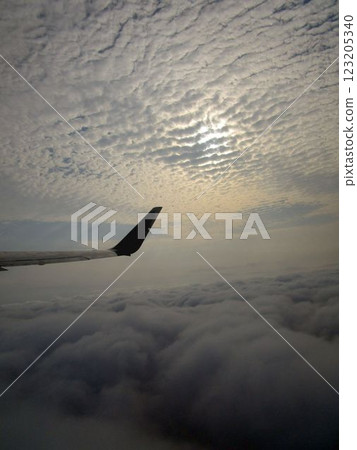 Landscape and sunset seen from an airplane (aerial photograph) 123205340