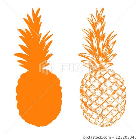 Pineapple artwork. Hand drawn sketchy 123205343