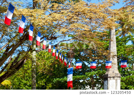 French flag bunting for Bastille day 123205450