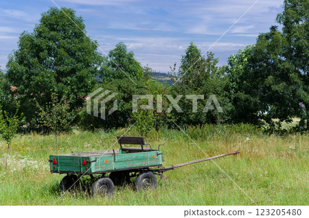 A truck intended for horse-drawn carriage. A wagon intended for the transport of various loads. A truck intended for horse-drawn carriage. A wagon intended for the transport of various loads. 123205480