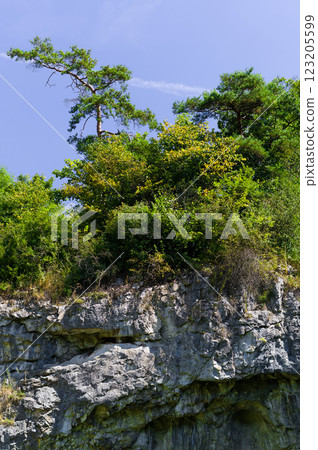 Important karst area of Czech Republic Moravian Karst. Important paleontology sites and tourist area. Sloup-Sosuvka caves. 123205599