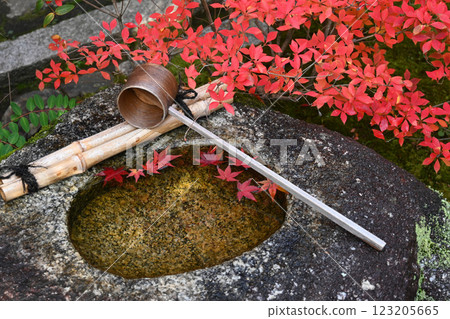 京都市金福寺的築梅,與芭蕉和布森有聯繫 京都市金福寺的築梅,與芭蕉和布森有聯繫 123205665