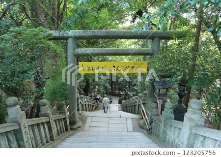 Konpira Shrine, Torii 123205756
