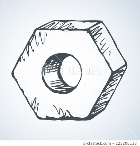 Large nut. Vector drawing Large nut. Vector drawing 123206118