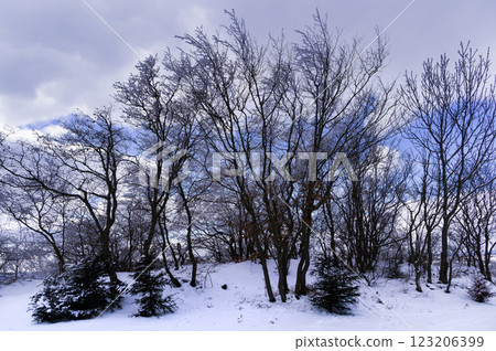 Winter snowy landscape of the Moravian Karst. South Moravia, Czech Republic. Winter snowy landscape of the Moravian Karst. South Moravia, Czech Republic. 123206399