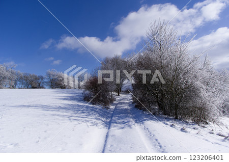 Winter snowy landscape of the Moravian Karst. South Moravia, Czech Republic. Winter snowy landscape of the Moravian Karst. South Moravia, Czech Republic. 123206401
