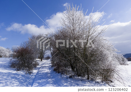 Winter snowy landscape of the Moravian Karst. South Moravia, Czech Republic. Winter snowy landscape of the Moravian Karst. South Moravia, Czech Republic. 123206402