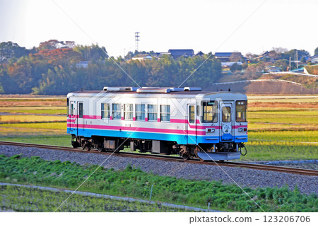 Hitachinaka Seaside Railway Kanagami-Nakane Miki 300-102 Hitachinaka Seaside Railway Kanagami-Nakane Miki 300-102 123206706