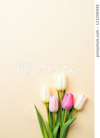 Freshly picked tulips in varying shades of white and pink arranged with green leaves on a light background for spring decor and celebrations 123206948